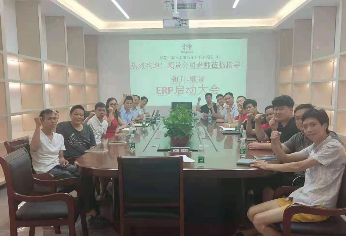 承前启后,智造先行!和升汽车照明公司携手开云·官方站线上登录平台入口-开云(中国)软件打造数智管理